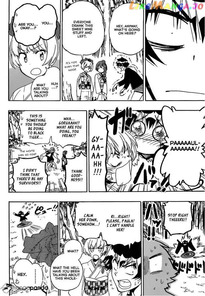 Nisekoi Chapter 173 image 14_optimized